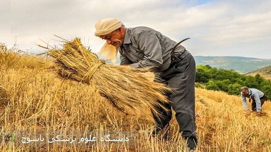کشاورزان-و-کارگران-گروه‌های-در-معرض-خطر-تابش-فرابنفش⁄-ساعات-11-تا-16-مواجهه-با-نور-خورشید-باید-به-حداقل-برسد