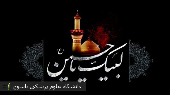 پیام-مدیر-شبکه-بهداشت-و-درمان-شهرستان-بهمئی-به-مناسبت-فرارسیدن-اربعین-حسینی