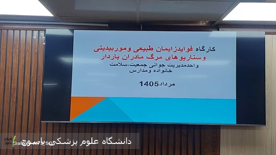 برگزاری-کارگاه-یک‌روزه-زایمان-فیزیولوژیک-و-تحلیل-سناریوهای-مرگ-مادران-باردار-در-شهرستان-بویراحمد